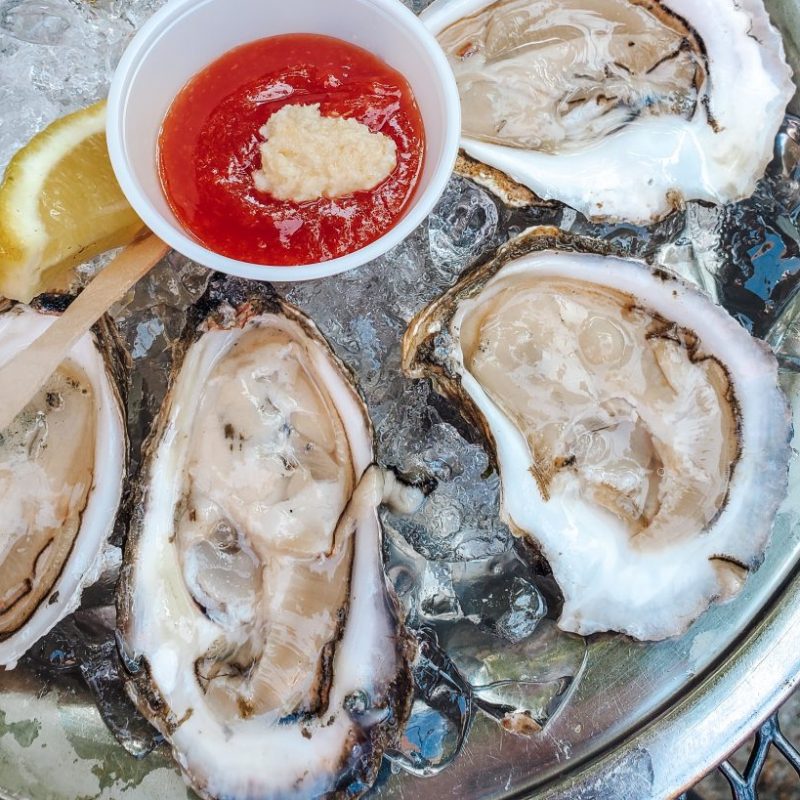 Oysters