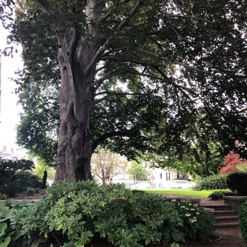 The Ropes Garden