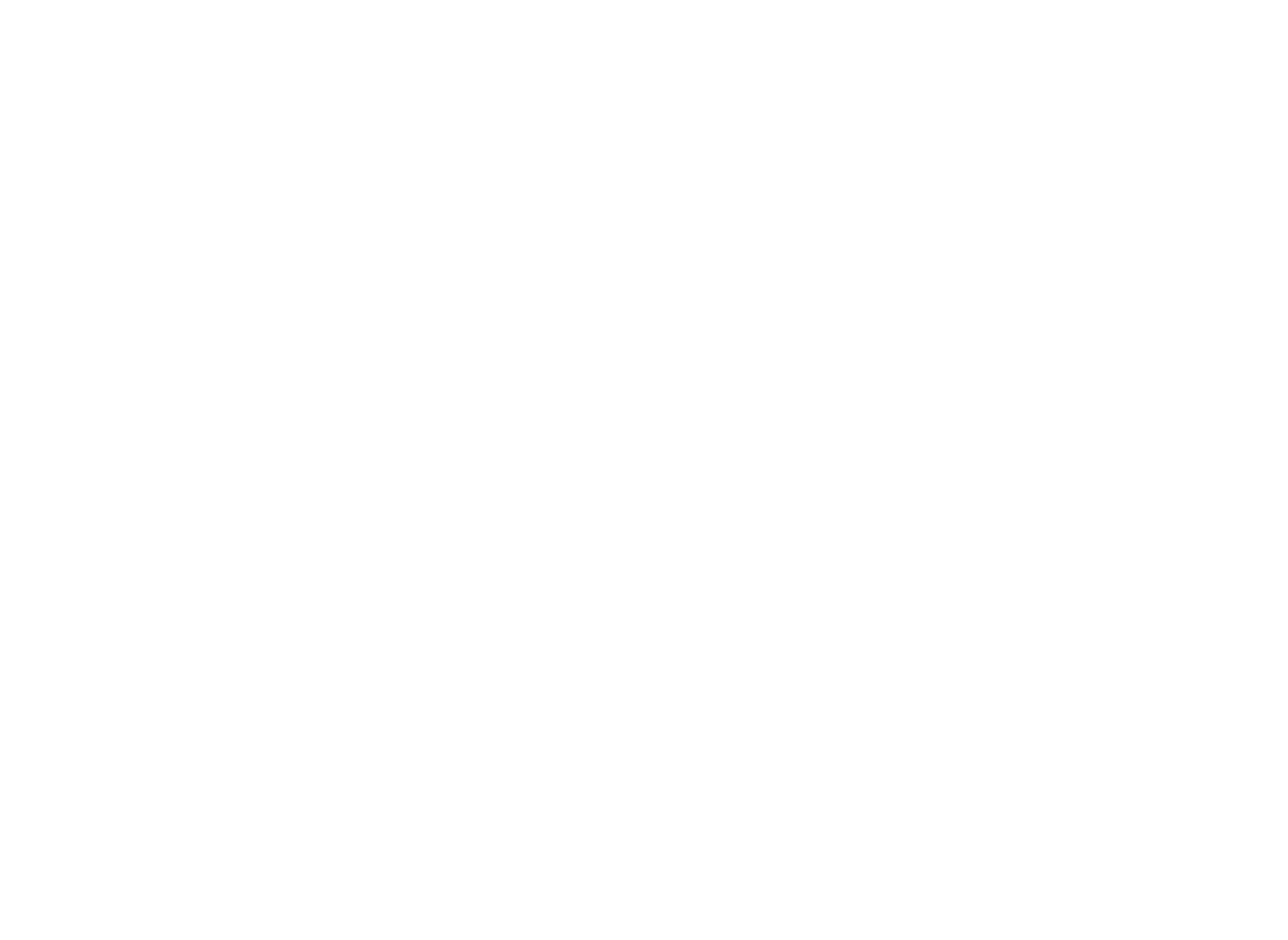 Boston USA Logo
