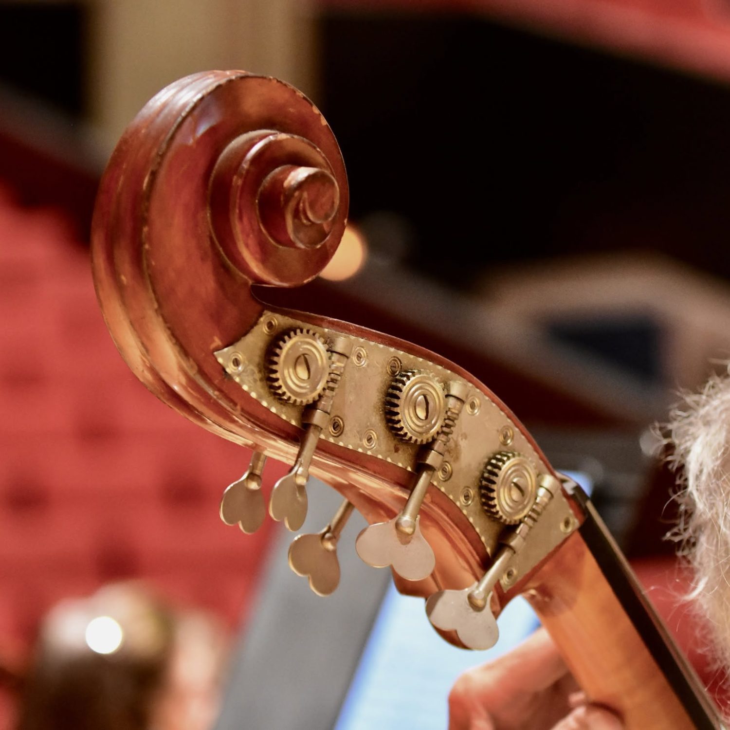 Salem Philharmonic: Salem’s Own Symphony Orchestra